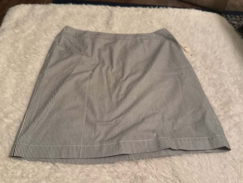 Talbots Outlet Women's Plus Size 18W Blue and White Striped Seersucker A-Line Sk